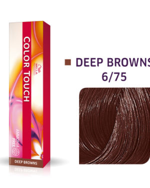 COLOR TOUCH DEEP BROWNS 6/75 60ML